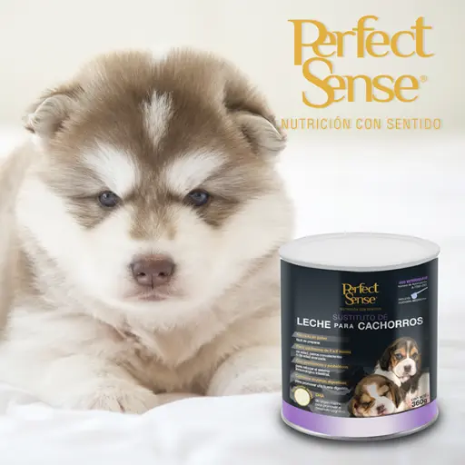 [FL3884] SUSTITUTO DE LECHE P/CACHORRO PS 360 G