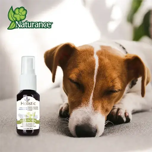 [FL4124] KIT DE AROMATERAPIA RELAJACION 60 ML