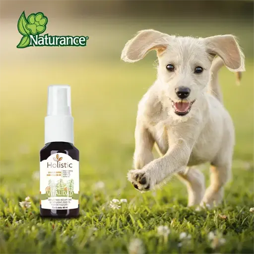 [FL4125] KIT DE AROMATERAPIA VITALIDAD 60 ML