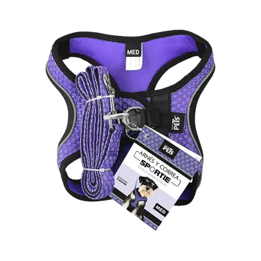 [FL9551] SET ARNES Y CORREA SPORTIE MED VIOLETA