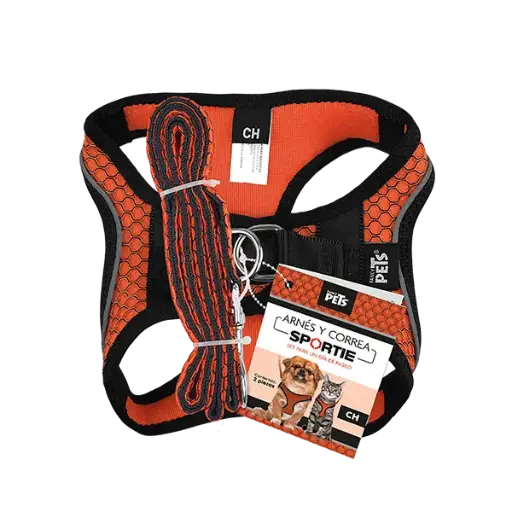 [FL9554] SET ARNES Y CORREA SPORTIE CH NARANJA