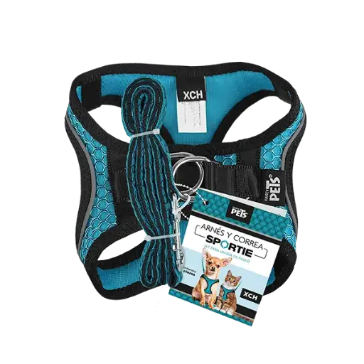 [FL9557] SET ARNES Y CORREA SPORTIE XCH AZUL