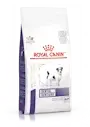 [498404] Royal Canin Dental Dry Small Dog 4kg